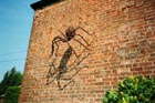 Giant spider climbing a wall
